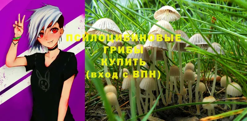 Галлюциногенные грибы MAGIC MUSHROOMS  Далматово 